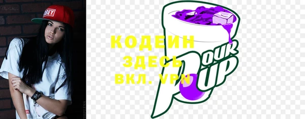 метадон Каменка