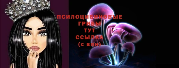 дживик Каменск-Шахтинский