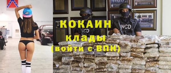 метадон Каменка