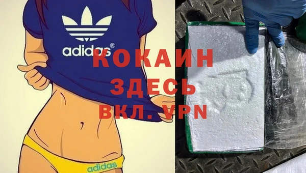 ECSTASY Каменногорск