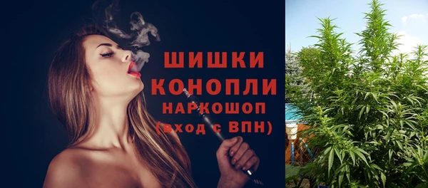 метадон Каменка