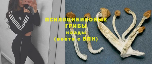 ECSTASY Каменногорск