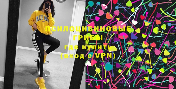 метадон Каменка